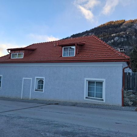 Haus Steiner Apartment Teufenbach  Ngoại thất bức ảnh